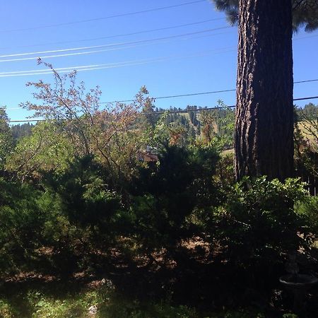 Switzerland Haus Bed And Breakfast Inn Big Bear Lake Εξωτερικό φωτογραφία