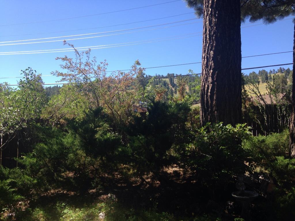 Switzerland Haus Bed And Breakfast Inn Big Bear Lake Εξωτερικό φωτογραφία